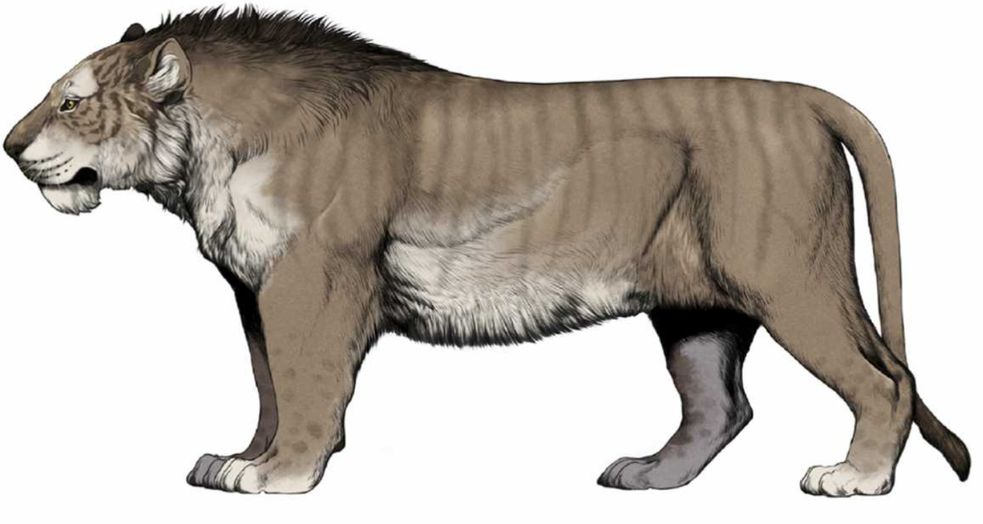 León de las cavernas Image